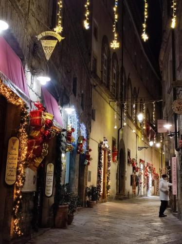  Appartamento il mandorlo nel centro di Volterra in Volterra