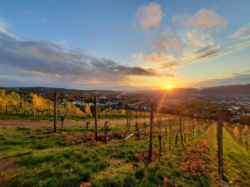 Tuvākā izklaides vieta, Ferienwohnung an der Obermosel in Oberbillig