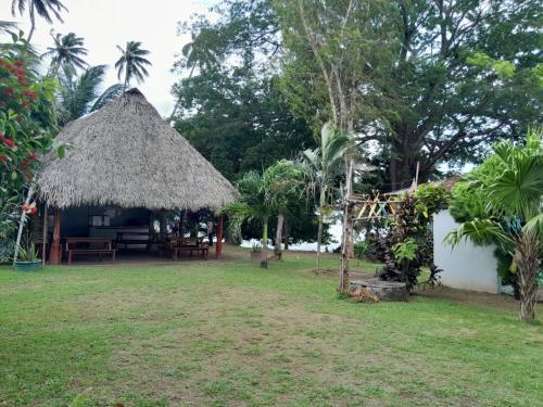 酒店周边, Hostel Los Chocoyos in 梅里达