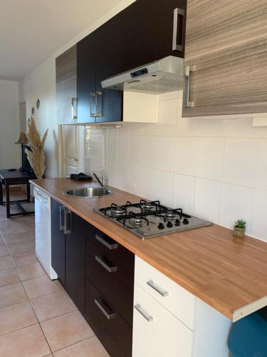 gites "Entre les Vignes" in Tourreilles