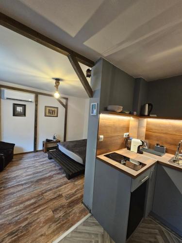 Hot Spot Studio in the center, Sofia (photo 9)