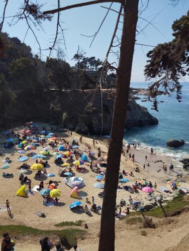 Cabañas El Pirata Cabañas El Pirata