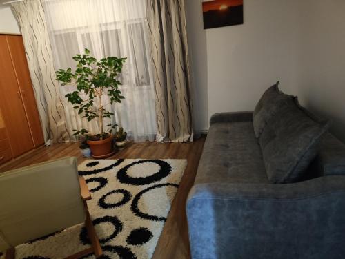 Apartment Farmec - main image