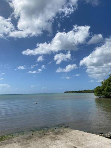 Trois Rivières T2 avec grande terrasse ombragée vue mer Trois Rivières T2 avec grande terrasse ombragée vue mer