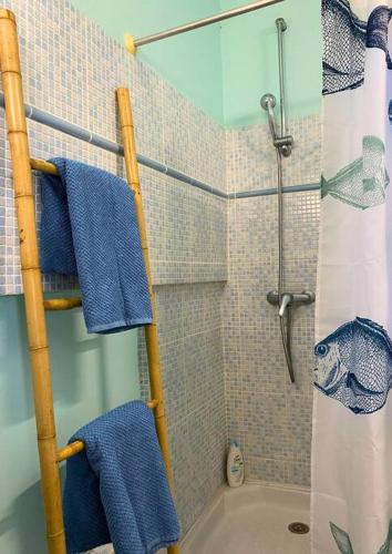 Trois Rivières T2 avec grande terrasse ombragée vue mer Trois Rivières T2 avec grande terrasse ombragée vue mer