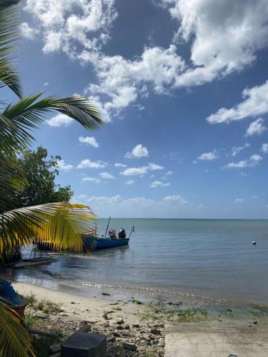 Trois Rivières T2 avec grande terrasse ombragée vue mer Trois Rivières T2 avec grande terrasse ombragée vue mer