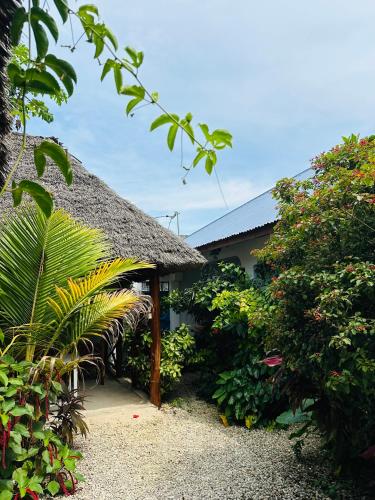 Lighthouse Guesthouse Room Type - Double Room with Terrace Lighthouse Guesthouse Room Type - Double Room with Terrace