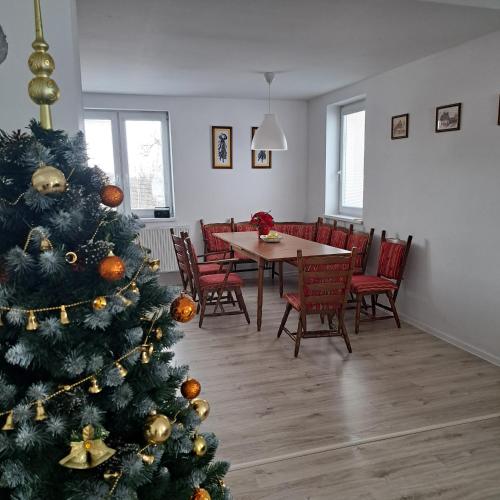 Apartmán Stará Myjava, U Križkov (zdjęcie 8)