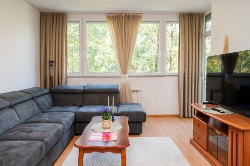 Engadin 3BDR Apt - City Center