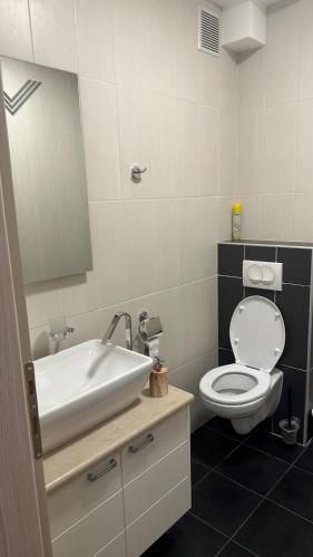 Drazn vrt in 東茲斯托里弗