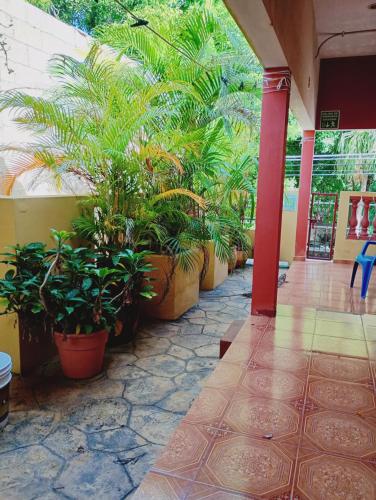 Garden, Hospedaje casa Yuca in Sta Ana