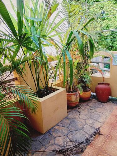 Hospedaje casa Yuca in Sta Ana