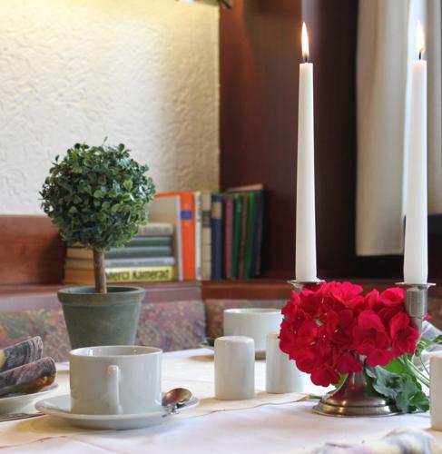 Hotel Grüner Baum - image 4