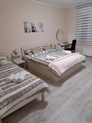 One-Bedroom Apartment room in Apartman Dream M Zaječar