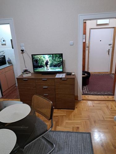 One-Bedroom Apartment image 8