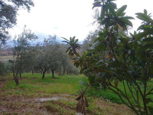 Agriturismo Il Casotto