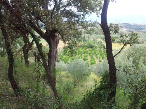 Agriturismo Il Casotto