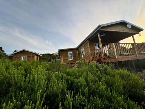Eco Forest Escape with Hot Tub and Mountain Views Eco Forest Escape with Hot Tub and Mountain Views