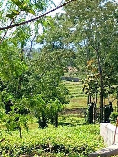 Farmer house on Beverley hill Pai in Pai