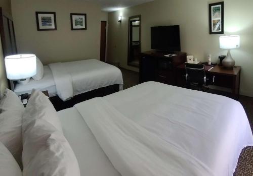 Comfort Inn New River - image 5