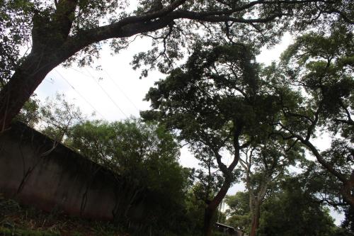 สภาพแวดล้อมโดยรอบ, Tinotenda Cottage in ฮาราเร
