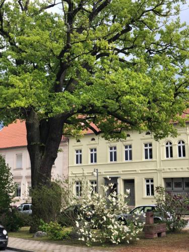 Ferienwohnung Ostblick in Klietz