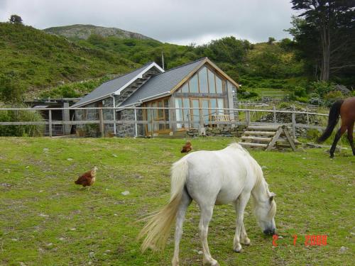 Beautiful Wales - image 5