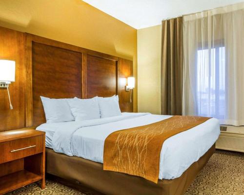 Comfort Suites - image 13