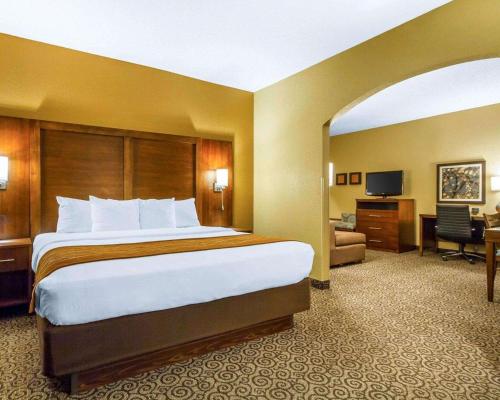Comfort Suites - image 5