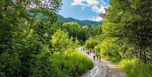 Tannenhof in Semmering, Österreich