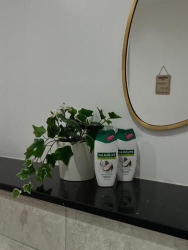 Contemporary 2BR in Birmingham City Center, Birmingham (zdjęcie 11)