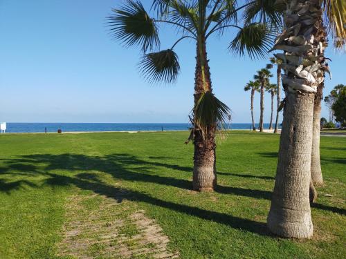 ACV - Vistamar II-1ª Linea Planta 4 Frontal Al Mar, Оропеса-дель-Мар (фото 2)