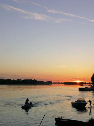 L' Atout de Loire in La Ménitré