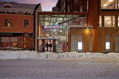 Elegant apartment center of Tromso