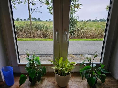 Skats, Haus Wallapampa im Grünen entspannen (Haus Wallapampa im Grunen entspannen) in Sanktmargarētena