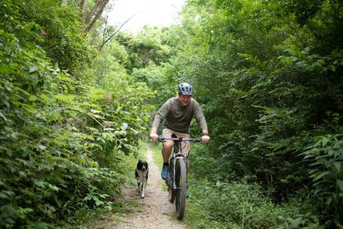 Tiny House Strouds Run Lake Tiny House Strouds Run Lake
