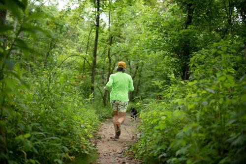 Tiny House Strouds Run Lake Tiny House Strouds Run Lake