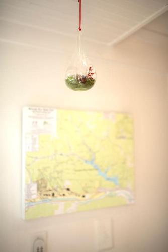 Tiny House Strouds Run Lake Tiny House Strouds Run Lake