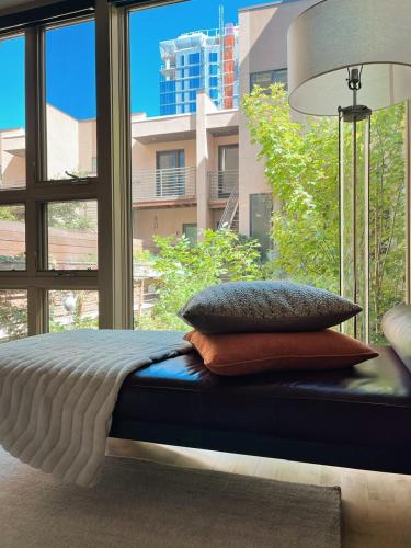 1 bed apartment with parking - Denver Museum District Walk to Convention Center, Capital, museums and shops detail