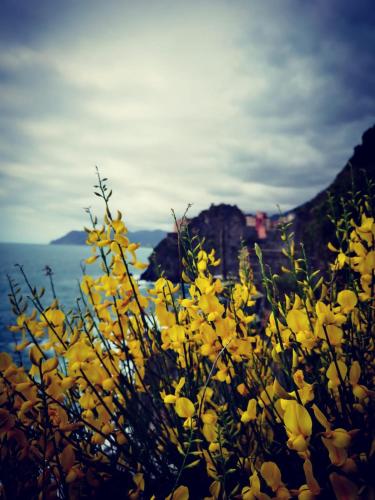 洛萨德温蒂酒店