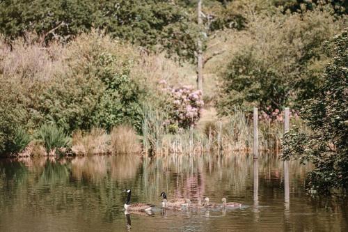 Hendra Barn at Hendra Barns Hendra Barn at Hendra Barns