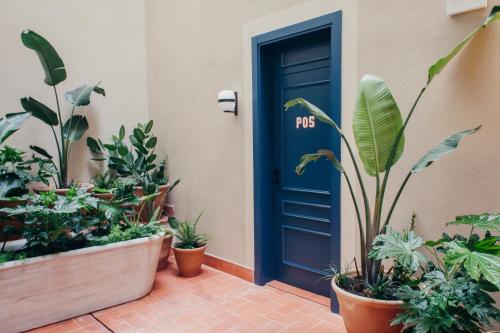 Hotel Casa Bonay - image 12