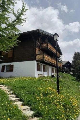Apartment Konkordia 1 EG Süd by Interhome in Bettmeralp, Schweiz