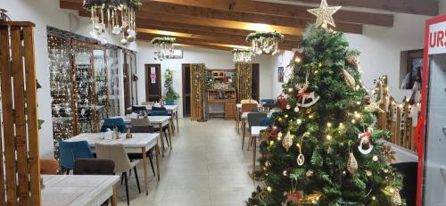 Pensiunea Hanul Huniazilor Pensiunea Hanul Huniazilor