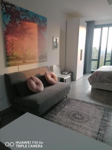  IL CILIEGIO DI ZOE in Cerro Lago Maggiore