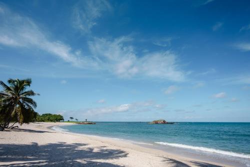 Premier Member, Best Ocean View ! Hdm Ph6-1