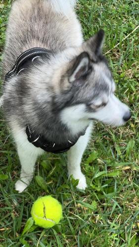 The Originals Access Hôtel Rouen Sud Oissel (P'tit Dej-Hotel) - image 5