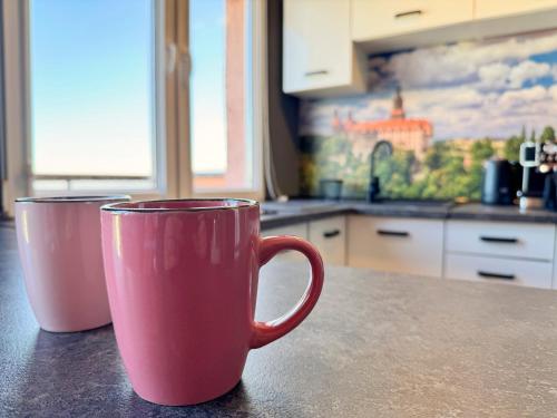 Fasiliteter, Apartament Książęca Góra (Apartament Ksiazeca Gora) in Szczawno Zdroj