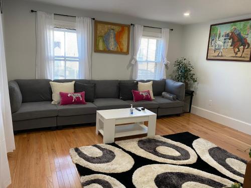 Közös társalgó / TV, Norfolk House in Area Iv