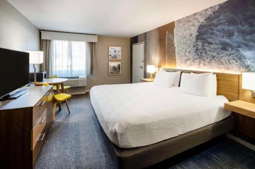 Aiden by Best Western Cape Point Room Type - Standard Room, 1 King Bed, Non Smoking, Refrigerator & Microwave